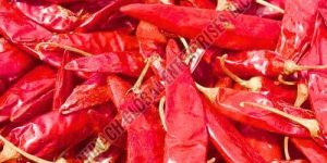 Dry Red Chilli