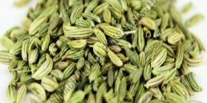 Fennel Seeds