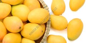 Fresh Alphonso Mango