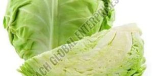 Fresh Cabbage