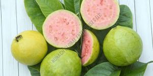 Fresh Guava