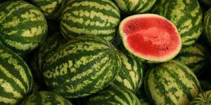 Fresh Watermelon
