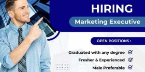 Hiring Marketing Executive