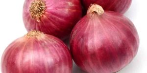 Fresh Red Onion