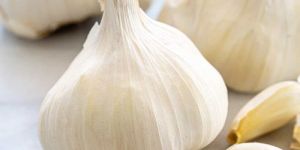 Fresh White Garlic