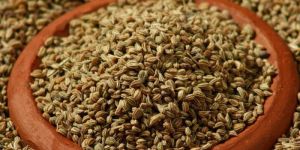 Carom (Ajwain)
