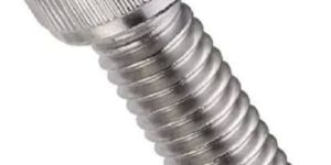Stainless Steel Allen Cap Bolt
