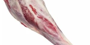2025 frozen fat lamb sheep mutton meat