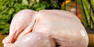 Quality Halal Frozen Whole Chicken