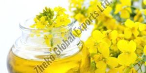 High Quality Pure Refined and Crude Rapeseed / Canola Oil