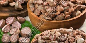 premium quality dried raw betel nuts