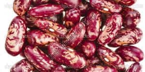 Light Speckled Kidney Beans