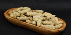 Groundnut Peanuts Seeds