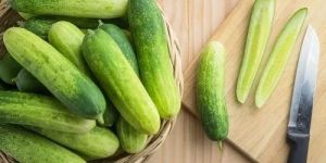 Fresh Cucumber
