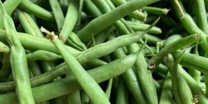 Organic Green Beans