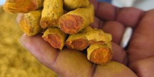 Organic Turmeric Finger