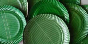 Green Rectangular Disposable Colored Paper Plate