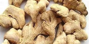 Dry Ginger
