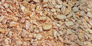 Orange Cream Biscuit for Cattle Feed