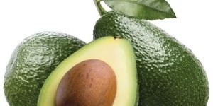 Fresh Avocado