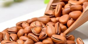 Pine Nuts