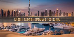 Mobile Number Database for UAE