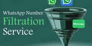 WhatsApp Number Filtration Service