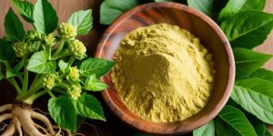 Ashwagandha Powder