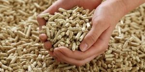 6mm Biomass Pellets