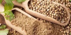 Dried Coriander Powder