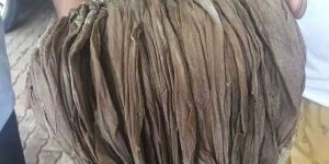 Buffalo Omasum Frozen Halal