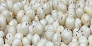 6 Suta Phool Makhana