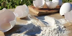 White Eggshell Powder