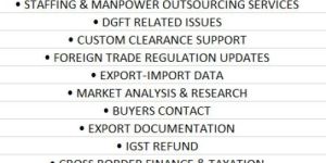 Import Export License Service