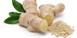 Ginger Powder