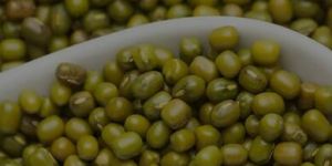 Green Moong Dal