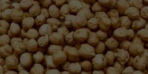 Kabuli Chickpeas
