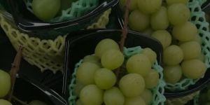 Green Grapes
