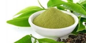 Green Tea Extract