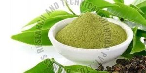 Green Tea Extract