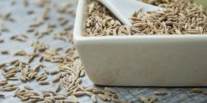 Cumin Seeds