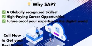 Sap Consultants