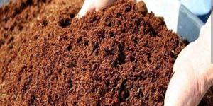 Coco Peat Powder