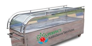 Dead Body Freezer Box