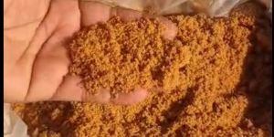 Jaggery Powder