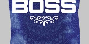Manachanallur Ponni Rice - Boss Brand