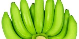 Fresh Cavendish Bananas