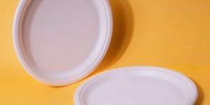 10 Inch Round Bagasse Plates