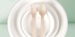 bagasse celebration plate