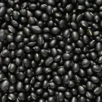 Black Gram/urad